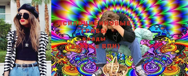 мяу мяу кристалл Няндома