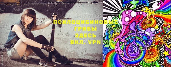 мяу мяу кристалл Няндома