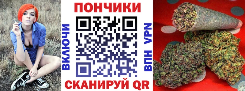 omg ссылки  сколько стоит  Харовск  darknet наркотические препараты  Марихуана ГИДРОПОН 